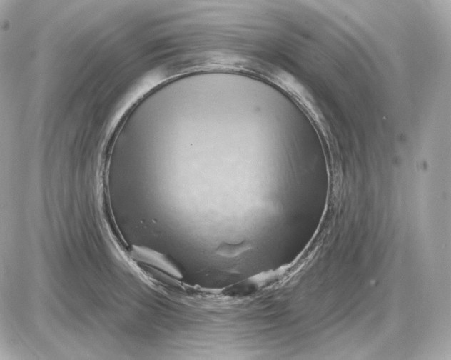 X0000087551235200705112113