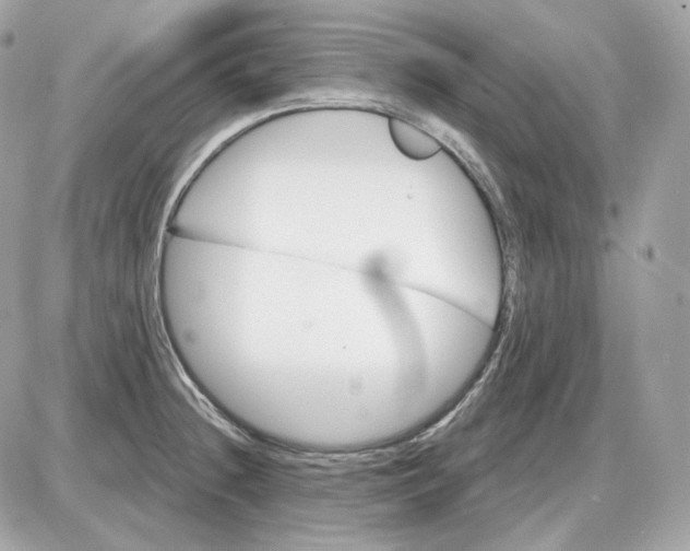 X0000087551236200705112113