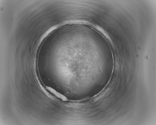 X0000087551237200705112113