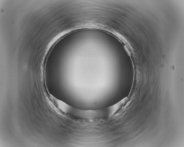 X0000087551238200705112113