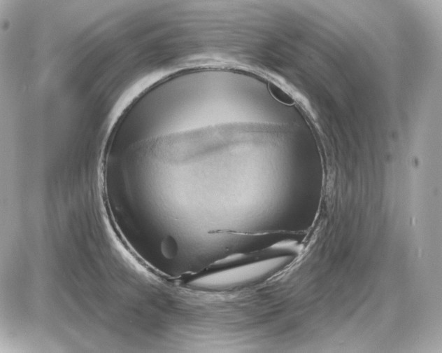 X0000087551239200705112113