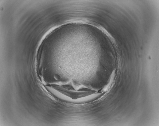 X0000087551240200705112113