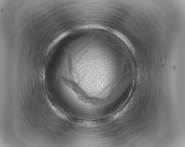 X0000087551241200705112113