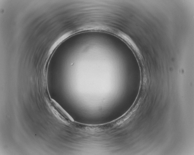 X0000087551242200705112113