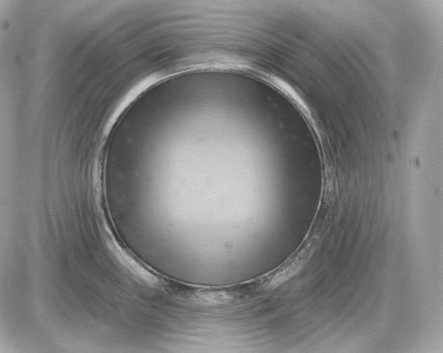 X0000087551243200705112113