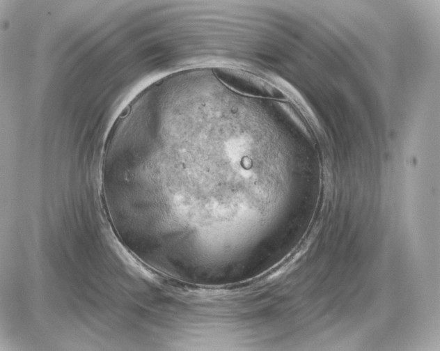 X0000087551244200705112113