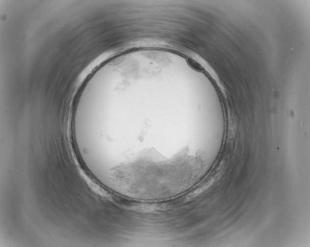 X0000087551245200705112113