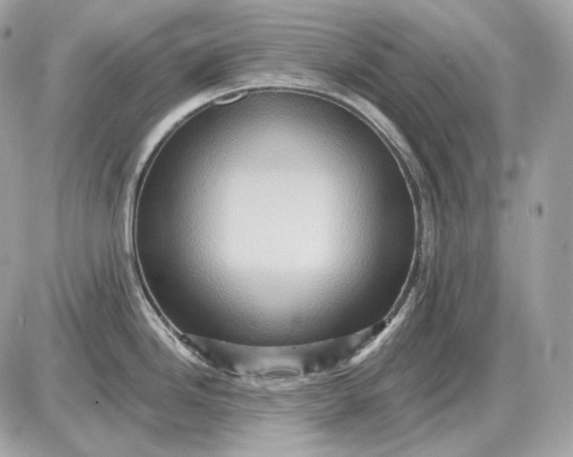 X0000087551246200705112113