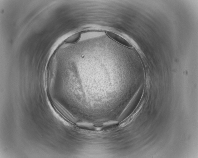 X0000087551247200705112113