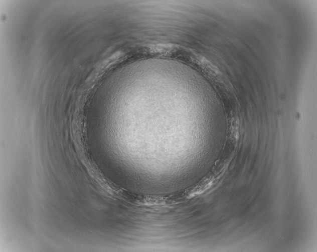 X0000087551249200705112113