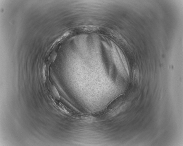 X0000087551250200705112113