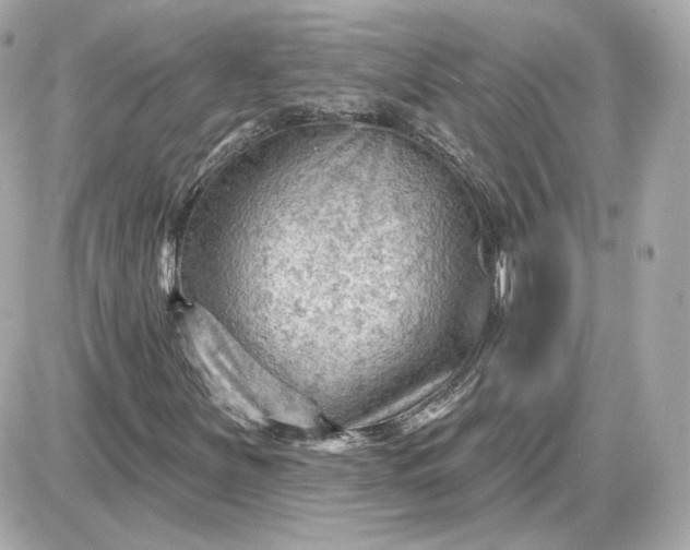 X0000087551251200705112113