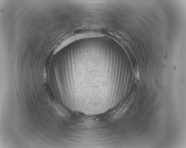 X0000087551252200705112113