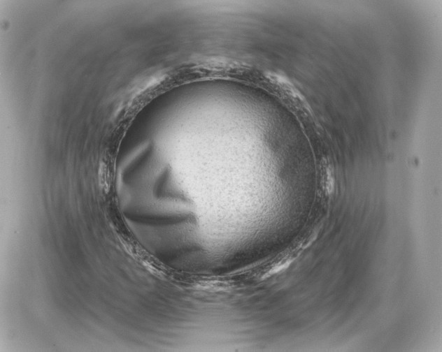 X0000087551253200705112113