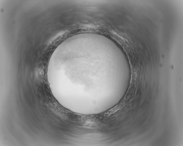 X0000087551254200705112112