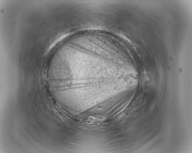 X0000087551255200705112112