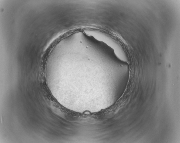 X0000087551256200705112112