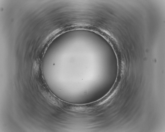 X0000087551257200705112112