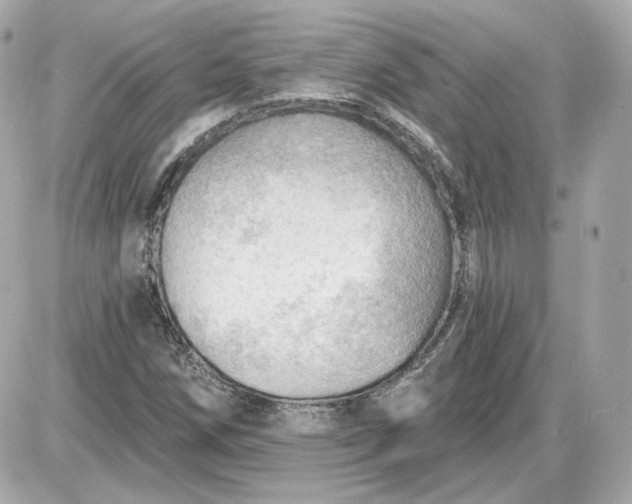 X0000087551258200705112112