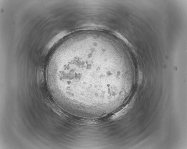 X0000087551259200705112112