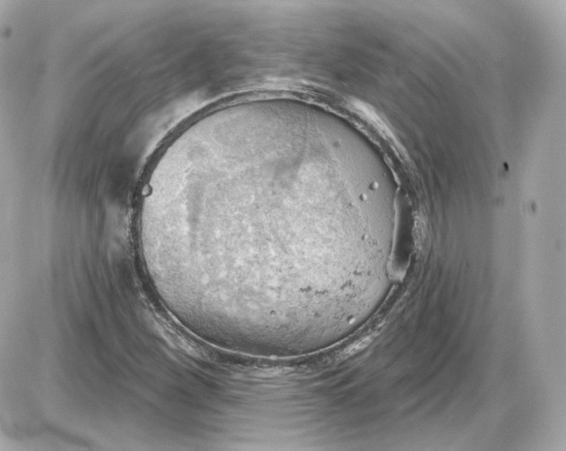 X0000087551260200705112112