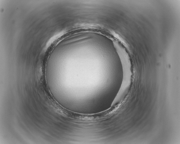 X0000087551261200705112112