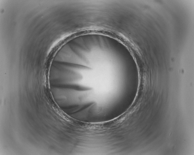 X0000087551262200705112112