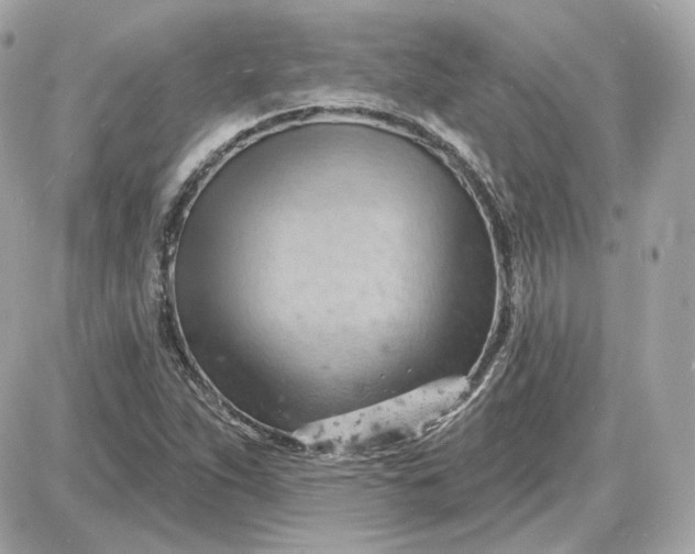 X0000087551263200705112112