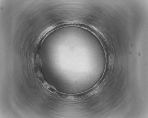 X0000087551265200705112112