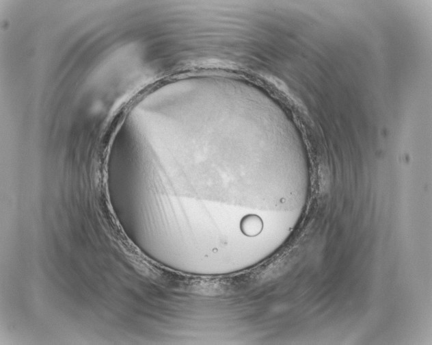 X0000087551266200705112112