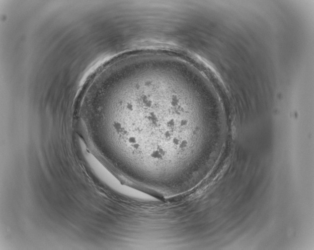 X0000087551267200705112112