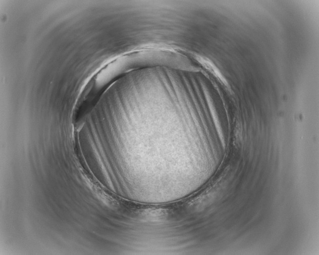 X0000087551268200705112112