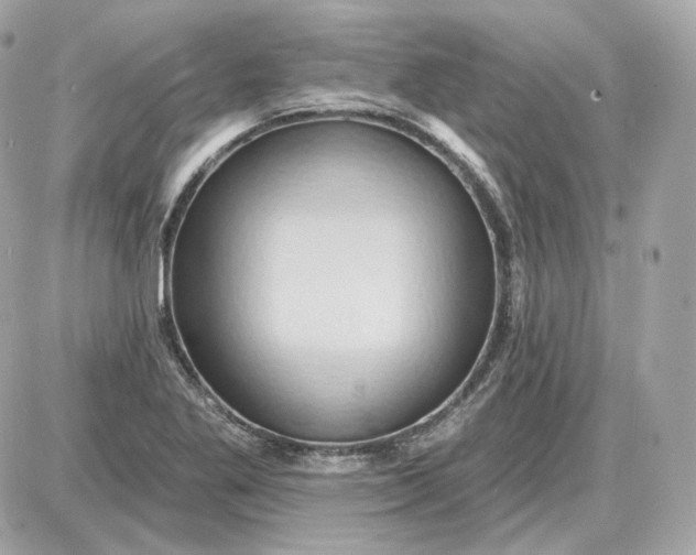 X0000087551269200705112112