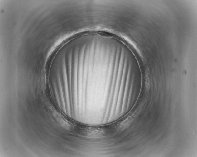 X0000087551270200705112112