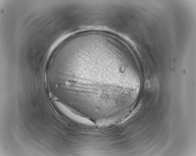 X0000087551271200705112112