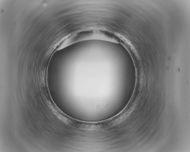 X0000087551273200705112112