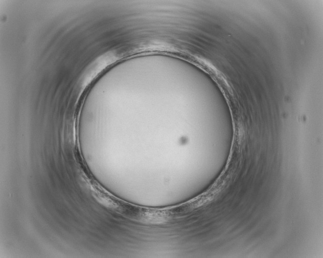 X0000087551274200705112112