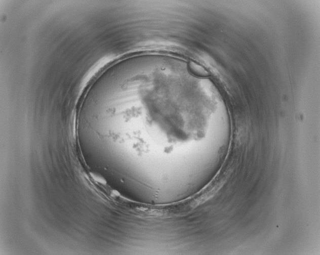 X0000087551275200705112112