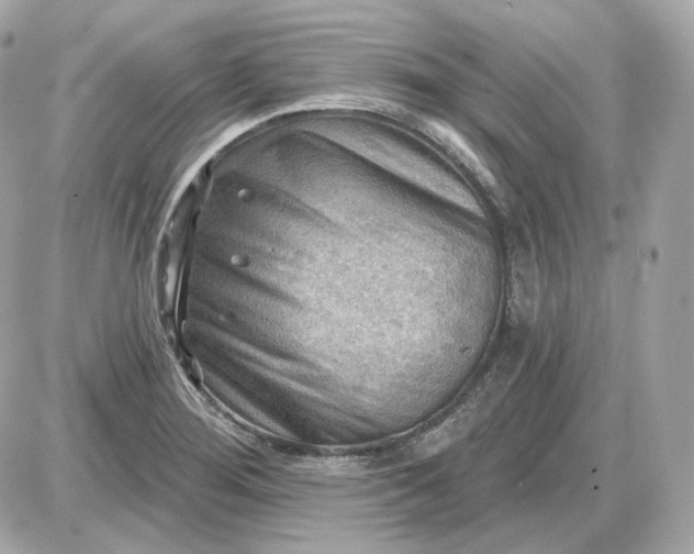 X0000087551276200705112112