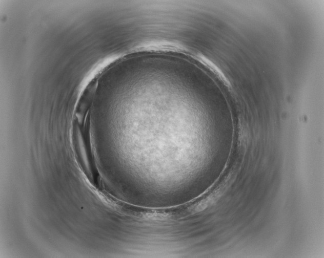 X0000087551277200705112112