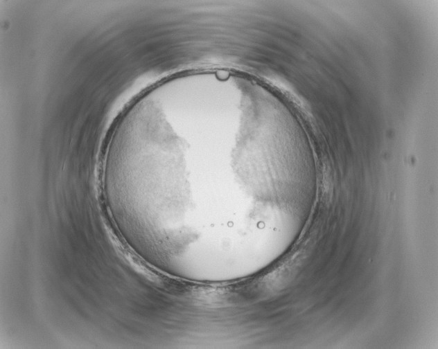 X0000087551278200705112112