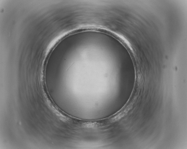 X0000087551279200705112112