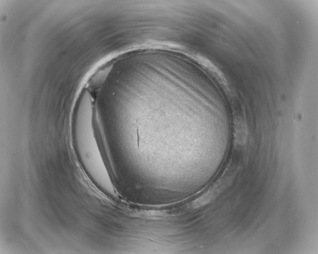 X0000087551280200705112112