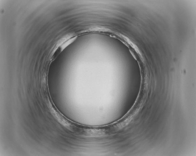 X0000087551281200705112112