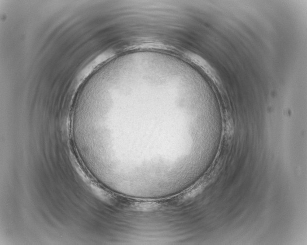 X0000087551282200705112112