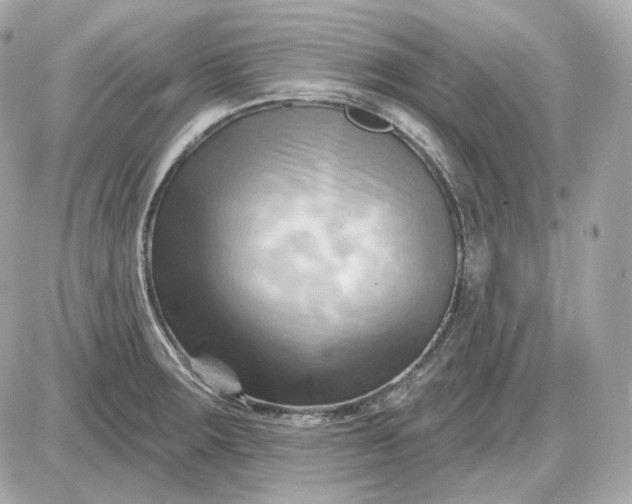 X0000087551283200705112112