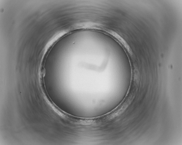 X0000087551285200705112112