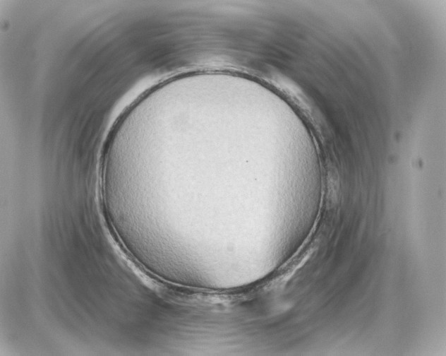 X0000087551286200705112112