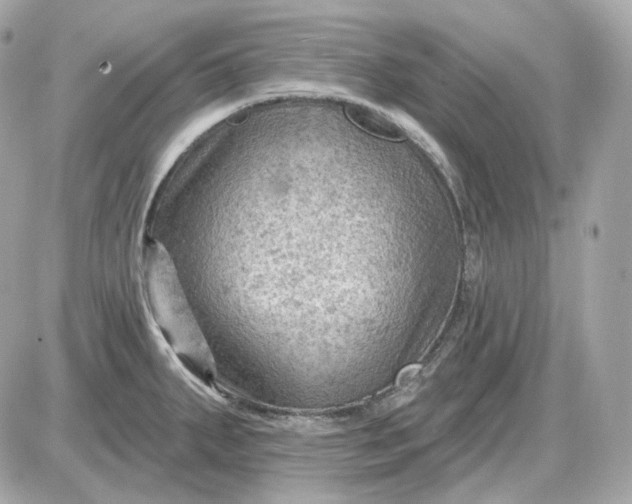 X0000087551287200705112112