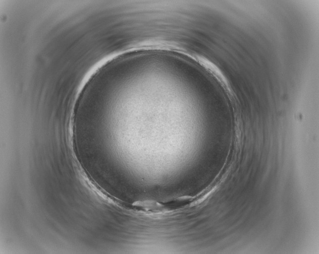 X0000087551288200705112112